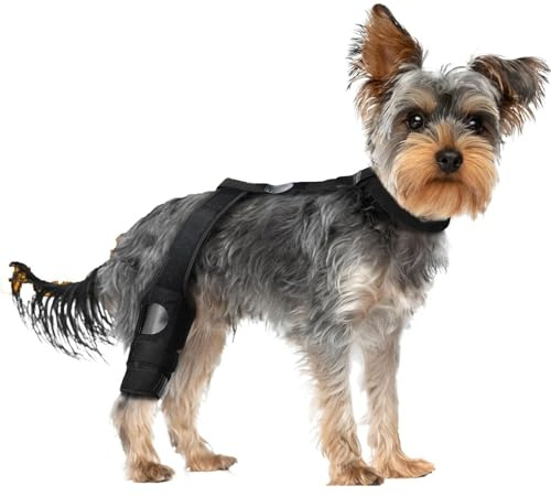 Ahuuen Hundekniebandage, Stützbandage Für Hinterbeine Bei Hunden, Kniebandage Zur Mobilitätsunterstützung Bei Schwäche Und Reha