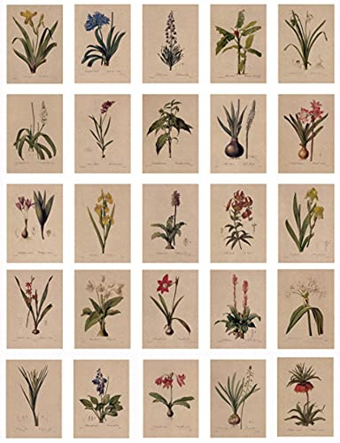 ZPPLD 24 Tarjetas postales, Hojas Postales, Postales Vintage, con bonito lenguaje floral impreso en papel de estraza, amor, amistad, vida, motivación, tarjetas de felicitación