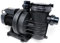 Motor para depuradora de piscina de 0.75CV de potencia, gran capacidad de filtracion, 21000 litros a la hora, apto para aguas cloradas en piscinas, estanques y fuentes