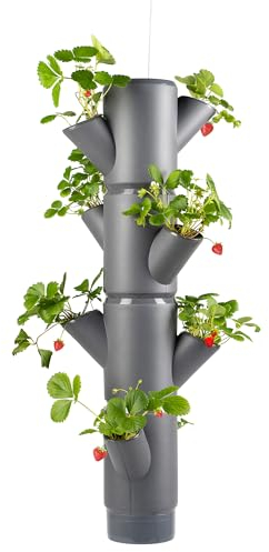 GUSTA GARDEN Sissi Strawberry Erdbeerbaum Hanging Anthrazit - Hängeampel System für Erdbeeren - für Garten & Balkon - 77 cm Höhe - 10L Erdvolumen