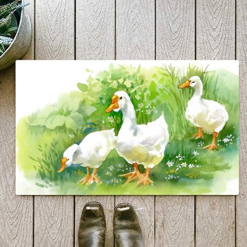OHJEAJDS Tappeto Bagno - Tappeto multiuso antiscivolo per ingresso,cucina,camera,bagno,Soffice Tappeto Doccia,Anatra, oca in fattoria Lago Piante Erba Canne Fiori Stagno Animali Oche Piume V,60x100cm