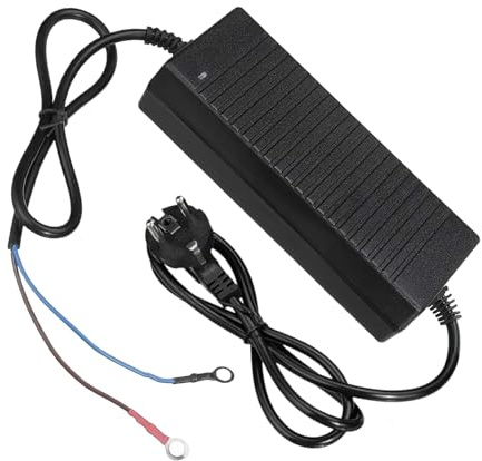 Convertidor 110V a 12V para Calefactor de Coche - Accesorio Seguro Ligero y Portátil para Automóvil,Accesorios para Calefactores de Coche,para Sistemas de Calefacción en Aparcamiento Tienda
