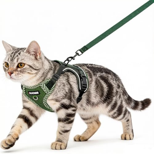 Katzengeschirr und Leine, ausbruchsicher, Kätzchengeschirr mit Leine, verstellbar, leicht, weich, mit reflektierenden Streifen, atmungsaktives Netzgewebe für Katzen, sicher im Freien (Grün, S)