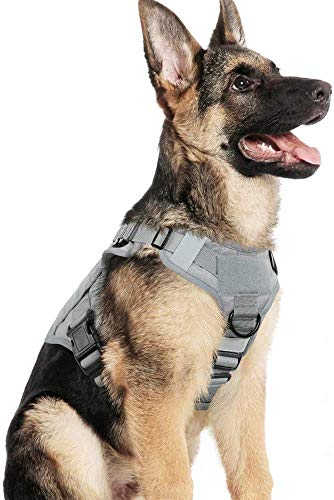 Arnes Großer Hund, No-Pull Arnes Hund, Anti-Zug, Atmungsaktiv, Trainingsweste mit 2 verstellbaren Ringen mit MOLLE-System zum Training, Jagen, Grau|XL