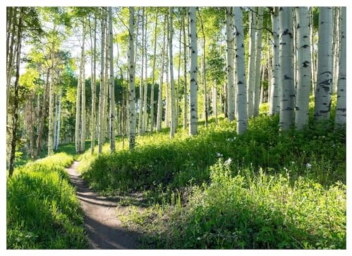 WallArena Non-Woven Fototapet löv – 250x175 cm – Fototapet 3D Effekt För Vardagsrum Och Sovrum – Modern Väggtapet I Vlies, Inkl. Lim – Tropisk Boho Natur grön gul