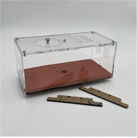 HYKJCSS Ameisenfarm Insektenbedarf Ameisenburg Ameisenökologische Box Ameisenfarm Wissenschaftspädagogik Lernset Ameisennest Farm Forschungsökosystem Ameisen Farm(Activity Area (Large))