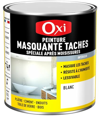 PEINTURE ANTI-MOISISSURE - 0.5 Litre