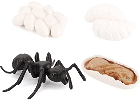 LICHENGTAI Tiere Lebenszyklus Figuren, Insekten Spielzeug Lebenszyklus Kunststoff Tierfiguren Kinder Pädagogische Modell Lernspielzeug Desktop Dekoration Lernspielzeug für Kinder