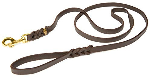 Hundeleine Leder 2,2m kleine Hunde leicht Fettlederleine [mit Handschlaufe] Lederleine geflochten – robuste Leine Hund mit Messingbeschlägen – Führleine Hund & Freihandleine zum Umhängen, Braun 8mm