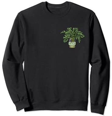 Monstera Deliciosa Variegata I plante d'intérieur tropicale Sweatshirt