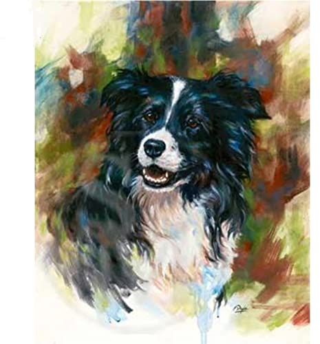 Kunovo Diamond Painting Set，5D Diamant Painting Bilder，Border- Collie Diamant Malerei Crystal Strass Stickerei Diamond Painting für Home Dekoration Wanddekoration 80x120cm/32x48inch Round Drill