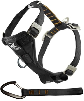 Kurgo Harnais pour Chien Tru-Fit, Accessoire Chien pour la Promenade, Clip Avant pour entraîner Son Chien à ne Pas Tirer & Ceinture de sécurité pour Voiture, Noir, XL