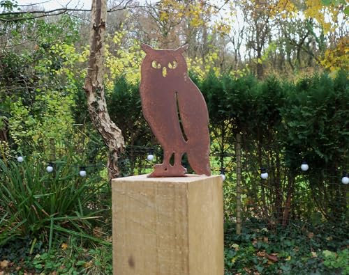 Really Raw Creations Rusty Metal OWL Bird Garden Ornament. Rustic Fence Post Topper. Metal Garden OWL Decoration. Rusted Steel Garden Art. Vintage Gift.
