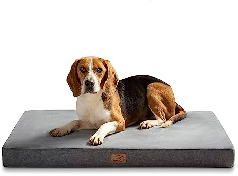 BEDSURE orthopädisches Hundekissen mittelgroße Hunde - 74x46x8cm waschbares Hundebett mit 2 in 1 Memoryschaum, kuscheliges Hundematte Hundematratze, dunkelgrau