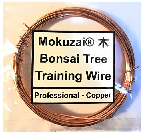 Bonsai Tree Styling & Training Wire Professional Annealed Bare Copper 1mm 400cm