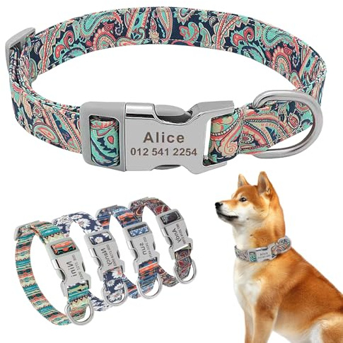 Personalisiertes Hundehalsband Mit Namen & Telefonnummer, Verstellbares Halsband für kleine, mittlere & große Hunde – Individuell für Rüden & Hündinnen (Farbe Grün)