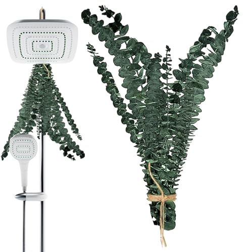 Ramas De Eucalipto para La Ducha, Ramas De Eucalipto Secas Naturales, Conservadas Naturales para Colgar, Paquete De Plantas De Eucaliptos Fresco para El Hogar, SPA, Baño, Boda, Decoración