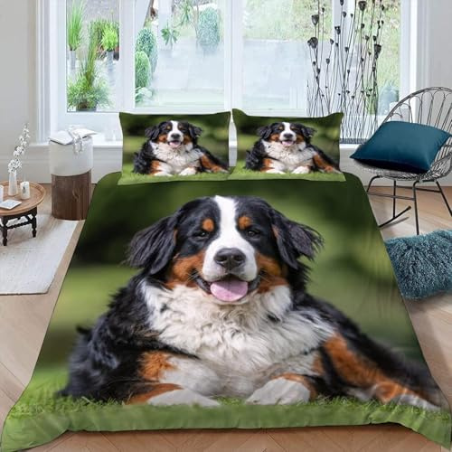 Bettwäsche 135x200 Berner Sennenhunde Bettwäsche Sets Niedliche Haustiere Bettenset 3D Druck Weich Microfaser Kinderbettwäsche mit Reißveschluss und 2 Kissenbezug für Jungen Mädchen J.182