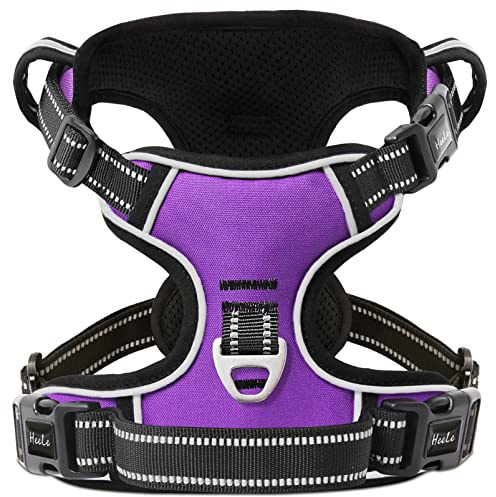 HEELE Hundegeschirr ohne Zug, Brustgeschirr für kleine Hund, einstellbares reflektierendes Hunde Geschirr, atmungsaktive Hundegeschirre mit gepolstertem Griff, No-Pull Dog Harness, Lila, S | Brustgeschirre für Hunde Anti Zug, Ohne Kopfdurchzug, Halsverschluss mit Sicherung, D-Ringe, Weich Gepolstert Reflektierend