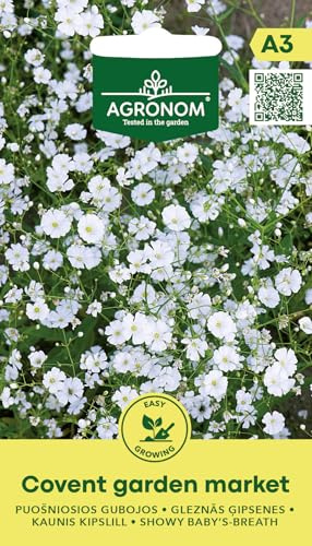 AGRONOM | Gipskraut - COVENT GARDEN MARKET samen | Blumensamen | Pflanze samen | Einjährige, 50 cm hohe Pflanzen | Kleine Blüten, die reichlich blühen | Gartensamen | 1 Pack