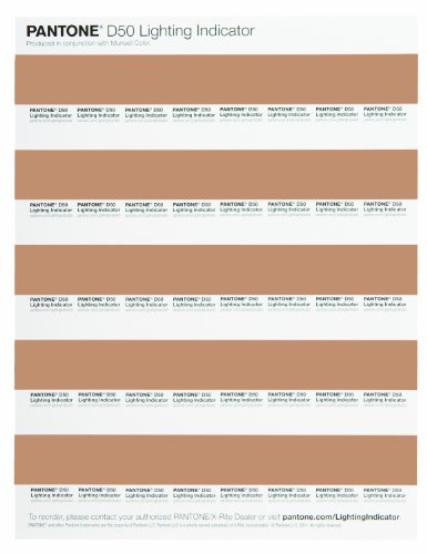 Pantone LNDS-1PK-D50 Lot de 40 Autocollants Indicateur d'éclairage