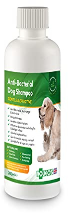 Aqueos Dog Shampoo | Antibacterial, Antiviral & Antifungal | Anti-Itch | Smelly Dogs | Itchy Dogs | Skin Irritations | Skin Soothing | 200 ml