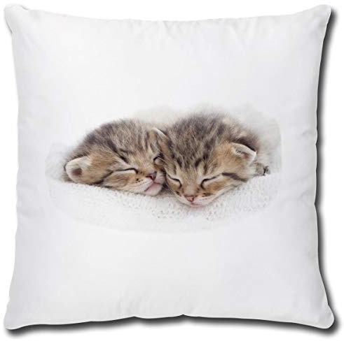 TRIOSK Kissen mit Katze Katzenmotiv Nap Time lustig Katzen Geschenk für Katzenliebhaber Frauen Freundin Mädchen Dekokissen 40x40