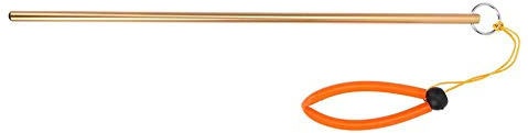 Tbest Plongée sous-Marine Pointeur Plongée sous-Marine en Alliage d’Aluminium Chuiller Pointeur Bâton avec Mesure et Longe Replacement pour Plongée sous-Marine(doré)