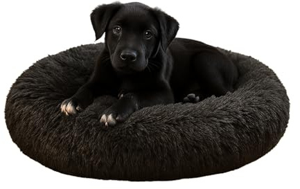 Dorian Home - Cuccia Cane Interno e Cuccia Gatto Tonda, Cuscino Cane Gatto Antiscivolo - Cuscino per Cani e Gatti Lavabile Taglia Grande, Media, Piccola, Lettino Cani Morbido, Letto Peloso a Ciambella