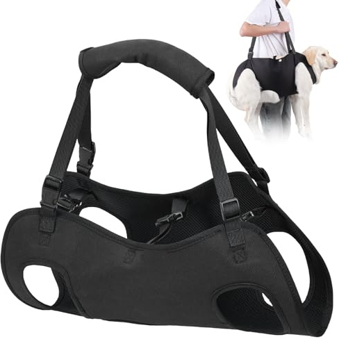 YOUNGSAY Ayuda de transporte para perros, correa ajustable para perros, ayuda para personas con discapacidad, ceguera, heridos o perros mayores (negro, L)