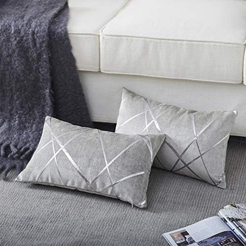 GIGIZAZA Silbergrau Kissenbezug Samt Kissenhülle 30x50cm Deko Kissenbezüge Dekokissen Fall für Sofa Schlafzimmer Wohnzimmer 2er Set