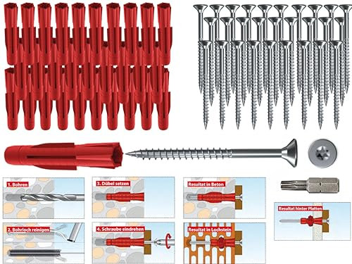 TOX TRI Allzweckdübel Set mit Torx Schrauben und Bit, Universal Dübel (TRI 6 x 36mm, 50.0, Stück)