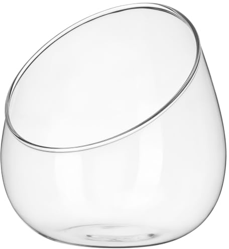 BAZEITFLOW Glas Terrarium Landschaftsflasche Borosilikatglas Schräg Geschnitten Mikrolandschaft Ökologische Sukkulentenflasche Mit Deckel Für Zimmerpflanzen Und Dekoration