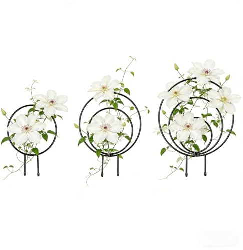 Enrejado de Jardín,Estructura de Soporte Metálica Decorativa | Estructura para Plantas Escaladoras | para Hogar Jardin Interior Exterior Facil Montaje Ocasiones Especiales Vegetales Flores