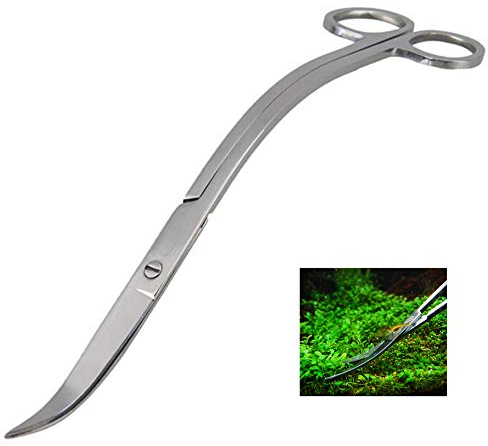 iwobi Ciseaux Aquascaping, Ciseaux d'aquarium Professionnel pour Plante en Acier Inoxydable
