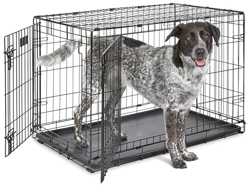 MidWest Homes for Pets 36-Inch iCrate for Medium-Large Breeds, 41-70 lbs, Double Door Folding Dog Crate with Divider Panel, Leak-Proof Tray & Secure Latches, Portable, Durable & Easy to Assemble