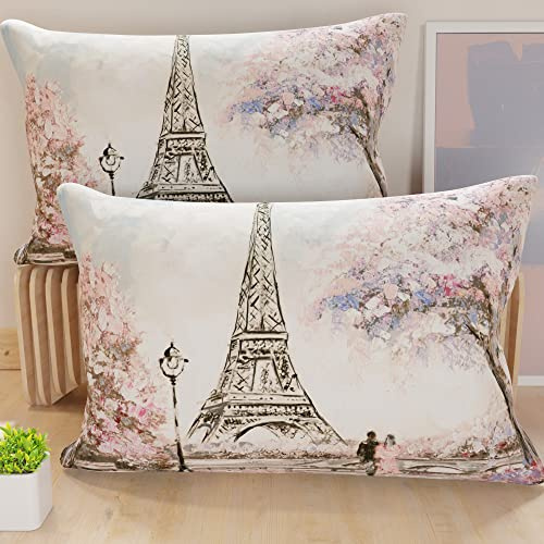 PETTI Artigiani Italiani - Par de Fundas de Almohada 50x70 cm, Pareja de Funda de Cojín Paris, 100% Microfibra Hipoalergénica, Paquete de 2, Made in Italy