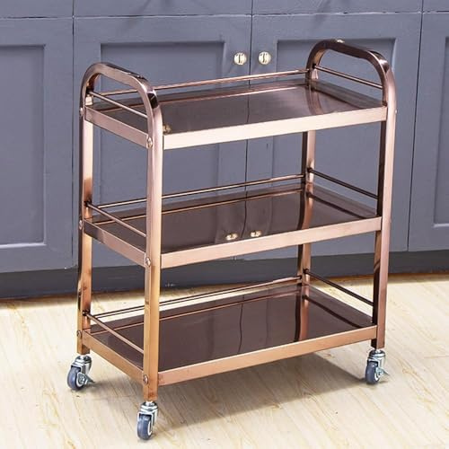 3-Tier Stainless Steel Utility Cart - Movable Dining & Work Table with Swivel Casters - Versatile Dental & Salon Utility Cart for Home Kitchen Office and Professional Use