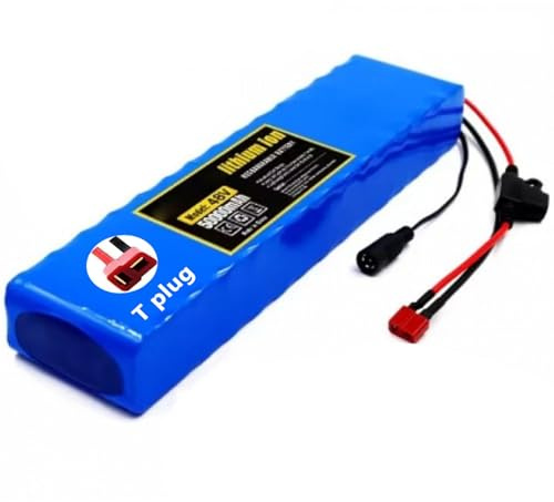 Elektroroller-Batterie 48V 50Ah E-Bike-Lithium-Ionen-Akku 13S2P Lithium-Ionen-Akkus Mit BMS A Ladegerät Für 200W-1000W E-Bike Elektrofahrrad-Scoote Motor