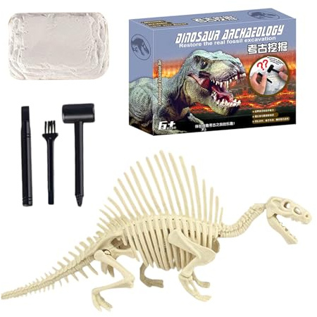 Fossilien Ausgrabungsset,Skelett Ausgrabungsset | Paläontologie Lernspielzeug Pädagogisches Spiel Kindergeburtstag Klassenaktivitäten Mint Lernen