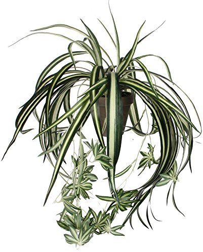 MICA Decorations Chlorophytum Kunstpflanze in Blumentopf - H45 x Ø45 cm - Grün
