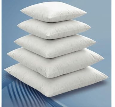 BIANCHERIAWEB Imbottitura Anima Interna per Cuscino Arredo in 100% Piuma D'Oca Varie Misure 60x60 Cuscino