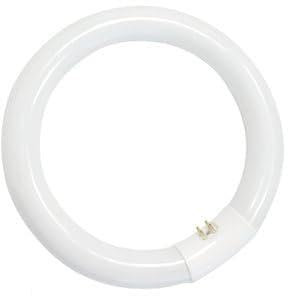 gsc evolution Tubo fluorescente circolare T9 40W G10q 6400K