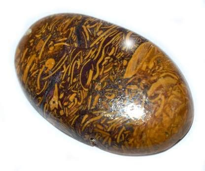 7.25 Ratti Natürlicher Mariyam Fossil Healing Edelstein Mineral Mariyam Edelstein Cabochon unbehandelter Stein B0C2Q6P1-1D