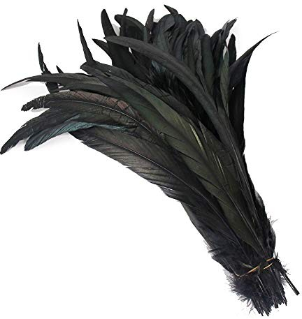 Yalulu 20 Stück 30-35 cm Größere Natur Feder Hahn Feder Fasan Hahnfeder Federn zum Basteln Kopfschmuck Schmucksfedern DIY (Schwarz)