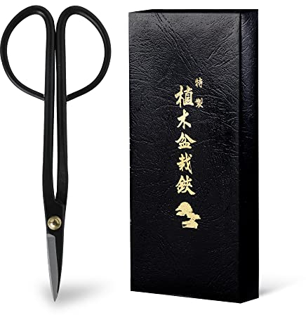 Wazakura Bonsai Schere - Twig Modell, Karbonstahl, 18 cm, Made in Japan - Schere zum Trimmen von Ästen, Blättern, Wurzeln und Trieben