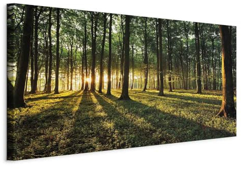 B&D XXL - Akustikbild Natur Baum grün, 120x60 cm, 1-teilig, Schallschutz | Verbessert Raumakustik, reduziert Hall, ideal fürs Büro oder Wohnzimmer, hochwertige Verarbeitung, schnelle Montage, stilvoll