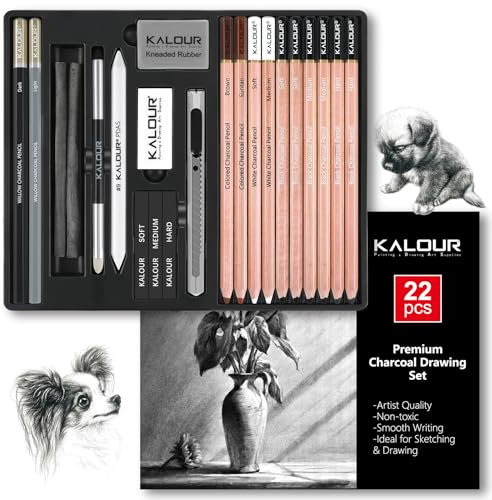 KALOUR PDAS 22pcs Charcoal Drawing Set, Professional Art Supplies, Black & White Charcoal Pencils for Drawing, Sketching, Shading, Blending, Artist Pencils for Beginners & Pro Artists