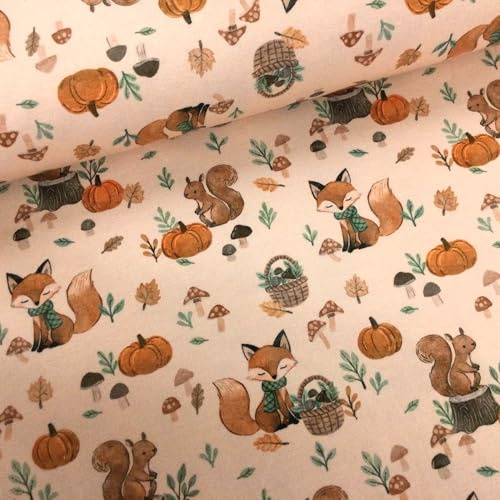 Baumwolljersey Stoff Kinder Fahrzeuge & Tiermotive – 94% Baumwolle 6% Elasthan – Öko-Tex Standard 100 – 150 cm breit – Meterware ab 50 cm für Baby- & Kinderkleidung (Fuchs und Eichhörnchen, rose)