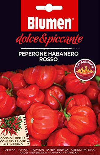 Blumen Semi di PEPERONE HABANERO ROSSO